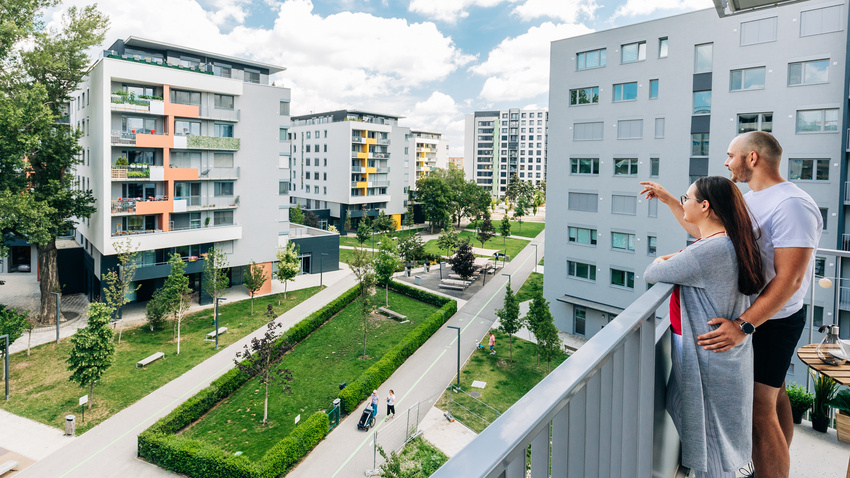 Share and Shareholders